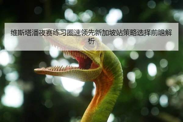 维斯塔潘夜赛练习圈速领先新加坡站策略选择前瞻解析