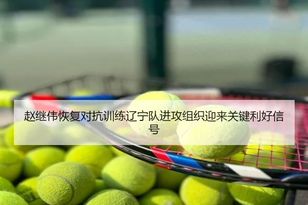 赵继伟恢复对抗训练辽宁队进攻组织迎来关键利好信号